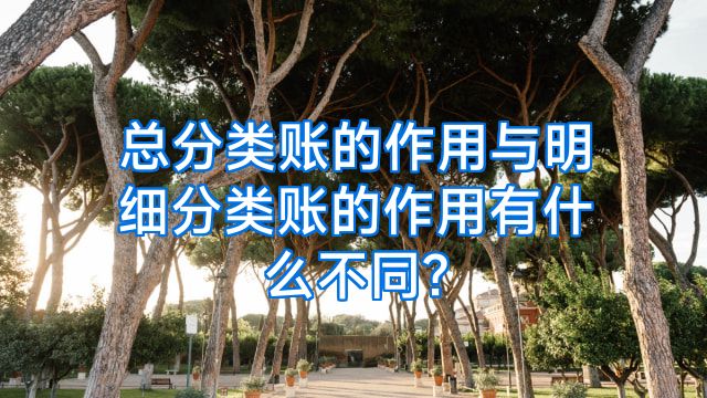 总分类账的作用与明细分类账的作用有什么不同?