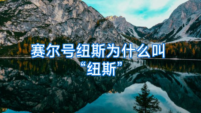 赛尔号纽斯为什么叫“纽斯”