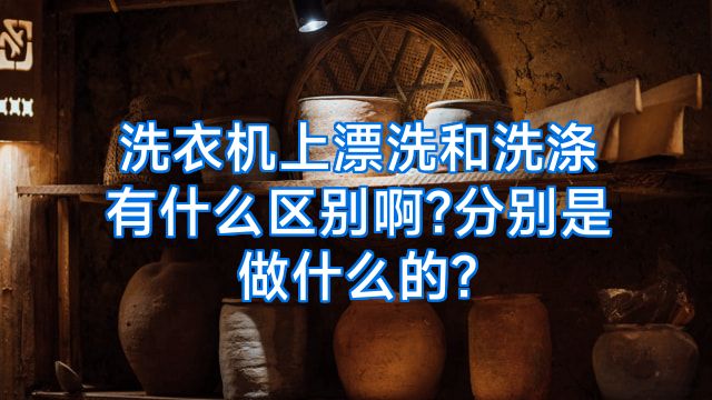 洗衣机上漂洗和洗涤有什么区别啊?分别是做什么的?