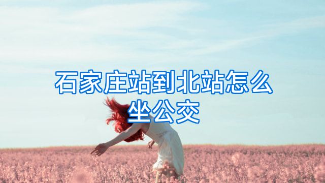 石家庄站到北站怎么坐公交