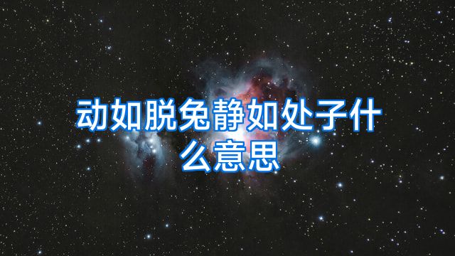 动如脱兔静如处子什么意思