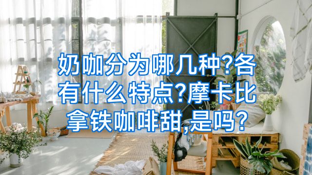 奶咖分为哪几种?各有什么特点?摩卡比拿铁咖啡甜,是吗?