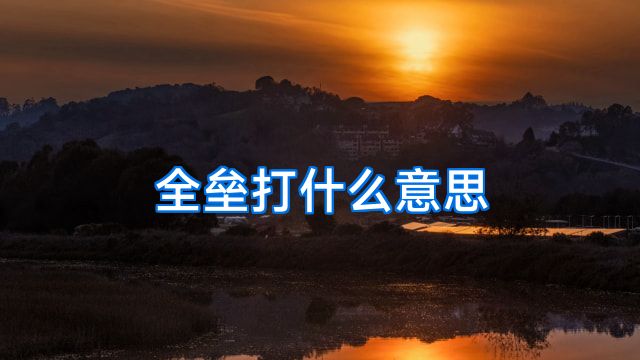 全垒打什么意思