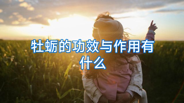 牡蛎的功效与作用有什么