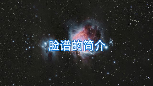 脸谱的简介