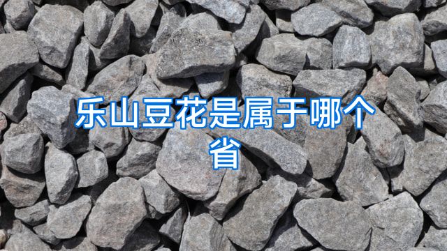 乐山豆花是属于哪个省