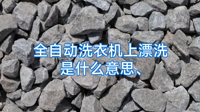全自动洗衣机上漂洗是什么意思、
