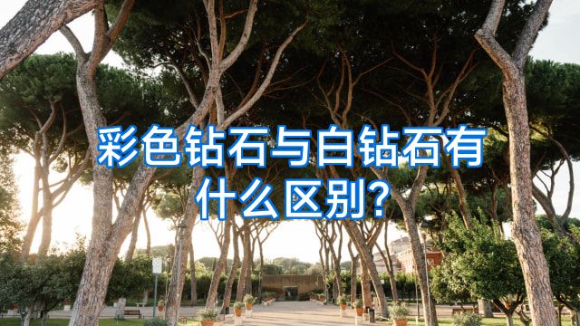 彩色钻石与白钻石有什么区别?