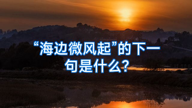 “海边微风起”的下一句是什么?