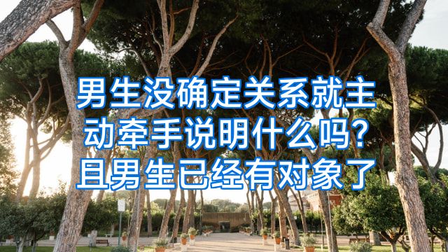 男生没确定关系就主动牵手说明什么吗?且男生已经有对象了