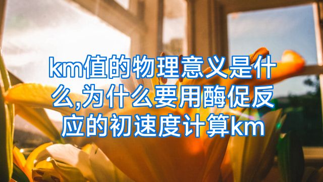 km值的物理意义是什么,为什么要用酶促反应的初速度计算km