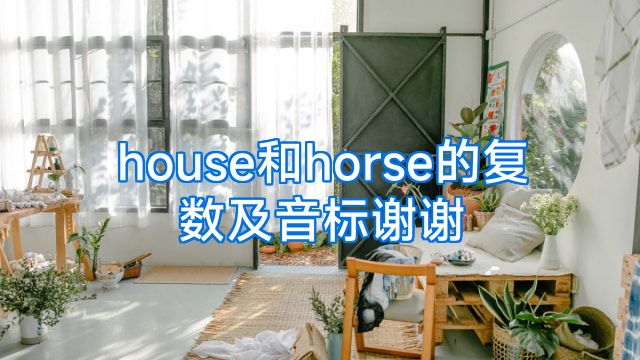 house和horse的复数及音标谢谢