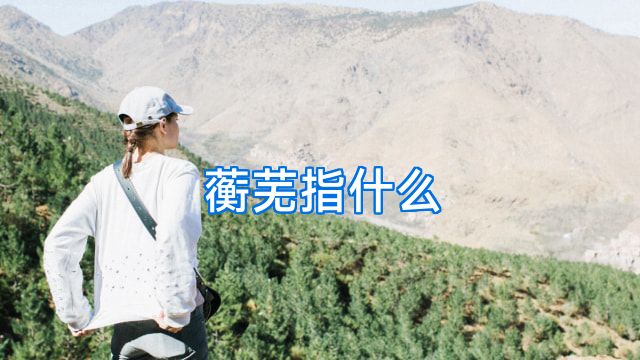 蘅芜指什么