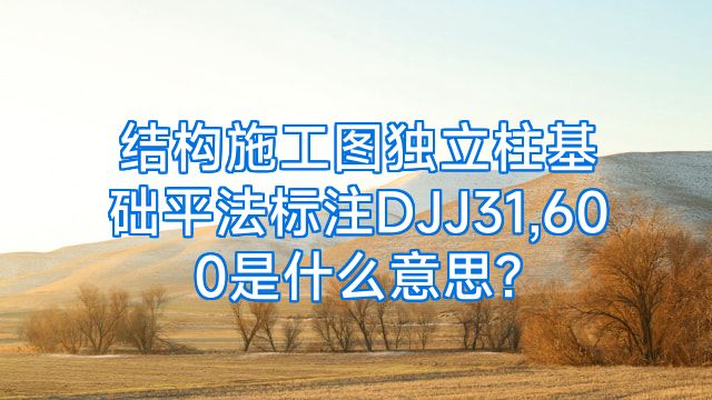 结构施工图独立柱基础平法标注DJJ31,600是什么意思?