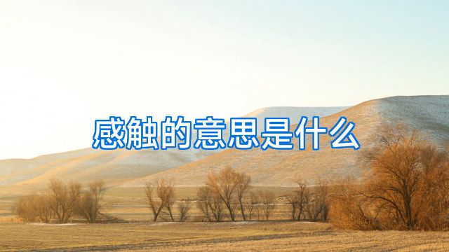 感触的意思是什么