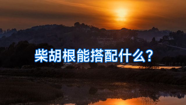 柴胡根能搭配什么?
