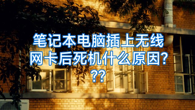 笔记本电脑插上无线网卡后死机什么原因???