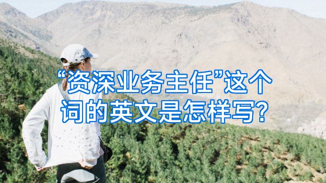 “资深业务主任”这个词的英文是怎样写?