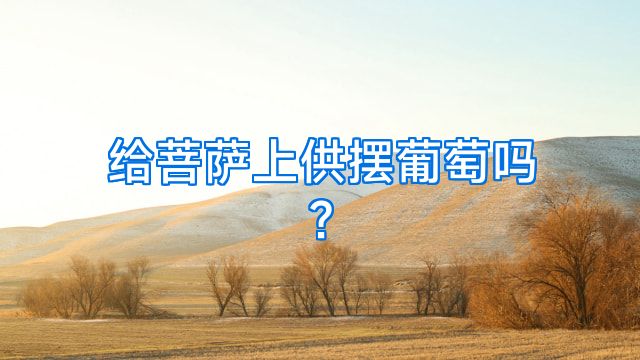 给菩萨上供摆葡萄吗?
