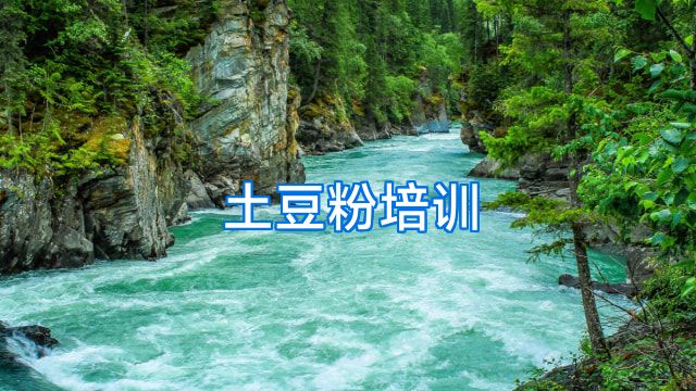 土豆粉培训
