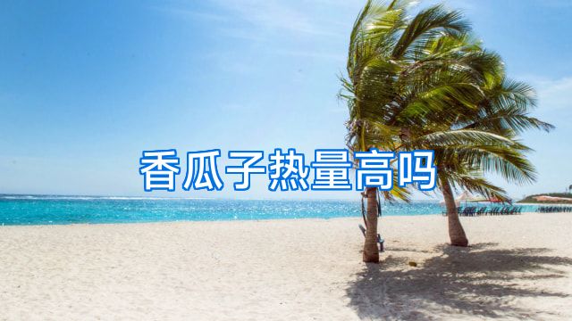 香瓜子热量高吗