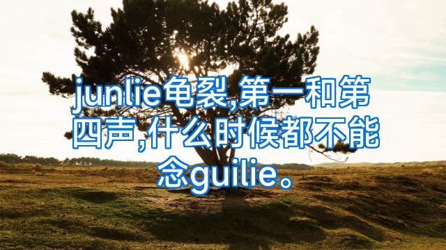 junlie龟裂,第一和第四声,什么时候都不能念guilie。