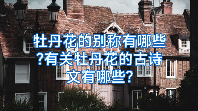 牡丹花的别称有哪些?有关牡丹花的古诗文有哪些?