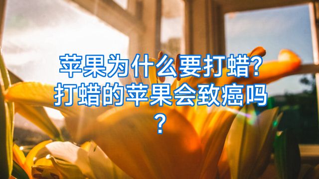 苹果为什么要打蜡?打蜡的苹果会致癌吗?