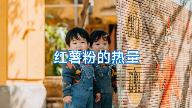 红薯粉的热量