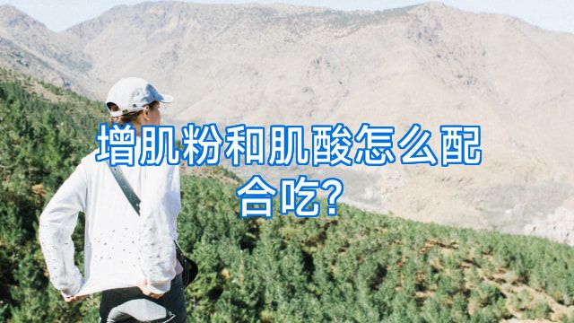 增肌粉和肌酸怎么配合吃?