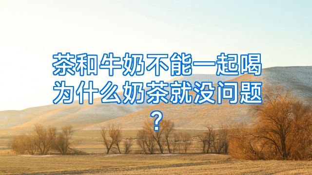 茶和牛奶不能一起喝为什么奶茶就没问题?