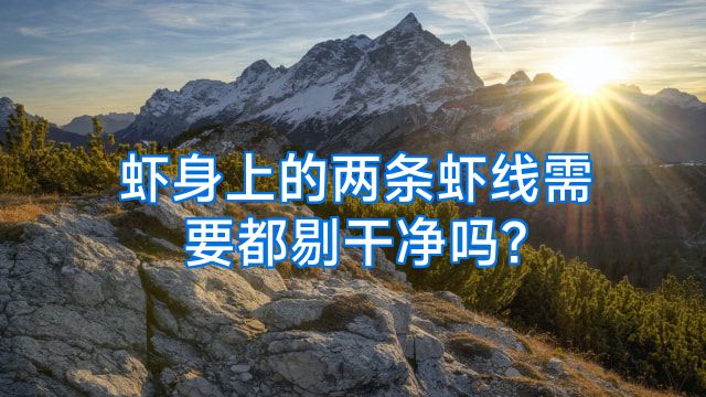 虾身上的两条虾线需要都剔干净吗?