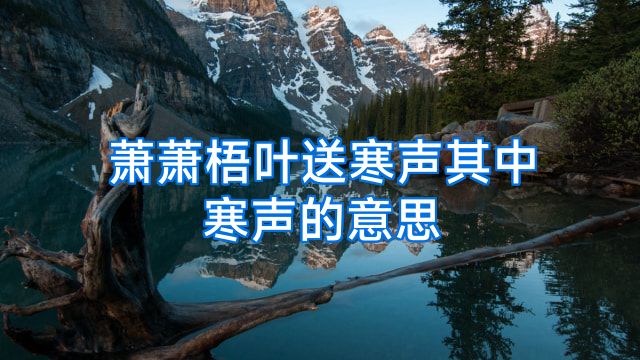 萧萧梧叶送寒声其中寒声的意思