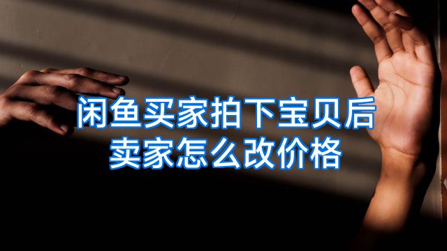 闲鱼买家拍下宝贝后卖家怎么改价格