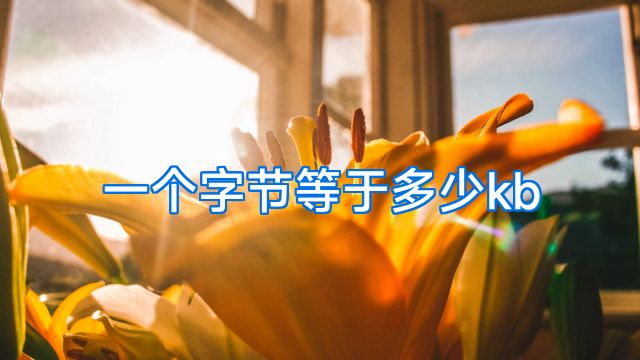 一个字节等于多少kb