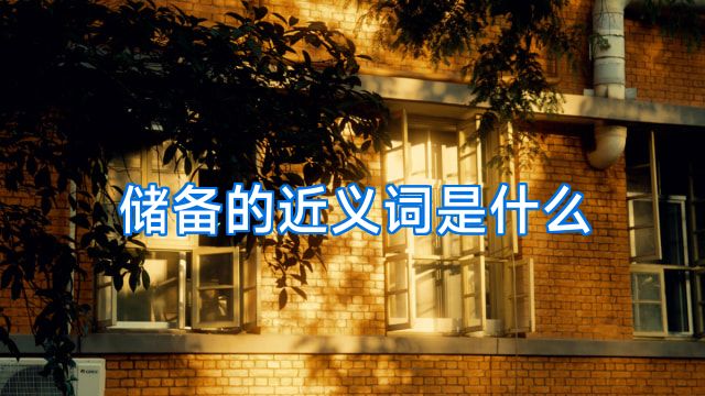 储备的近义词是什么