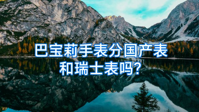 巴宝莉手表分国产表和瑞士表吗?