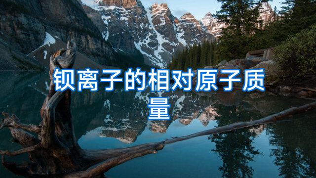钡离子的相对原子质量
