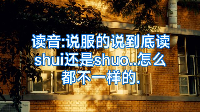 读音:说服的说到底读shui还是shuo..怎么都不一样的.