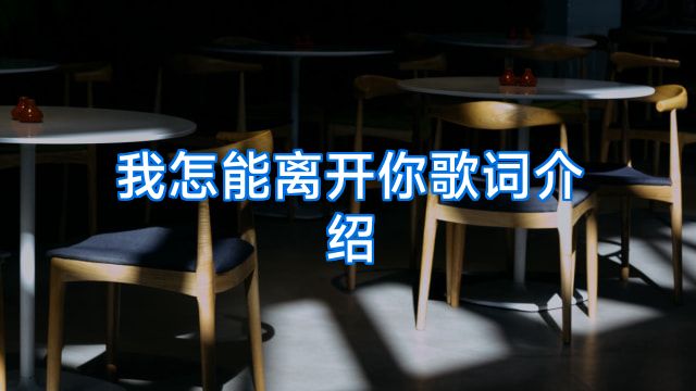 我怎能离开你歌词介绍