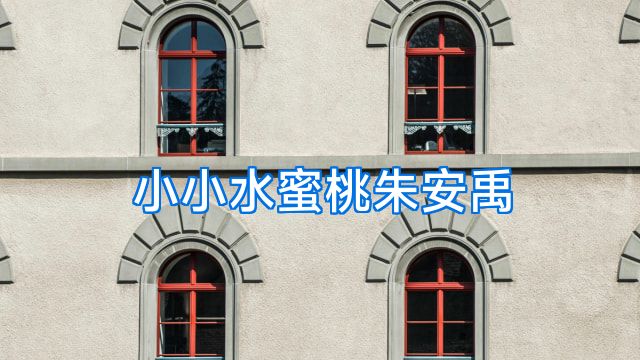 小小水蜜桃朱安禹