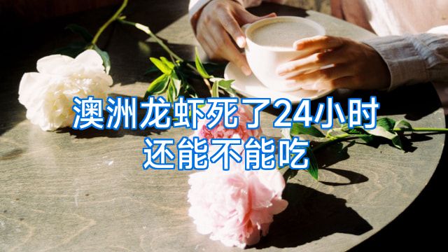 澳洲龙虾死了24小时还能不能吃