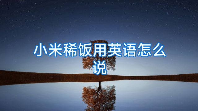 小米稀饭用英语怎么说