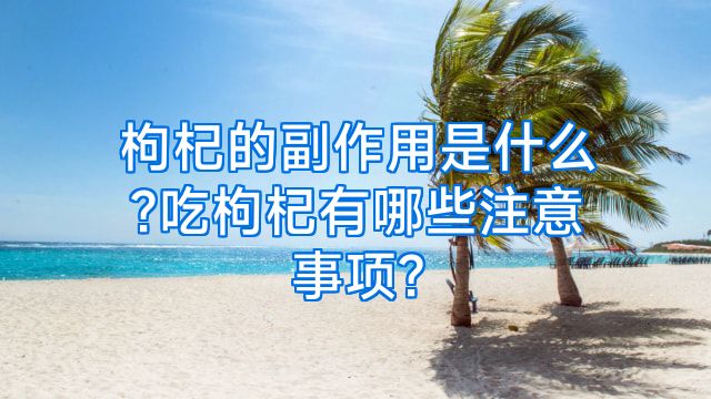 枸杞的副作用是什么?吃枸杞有哪些注意事项?