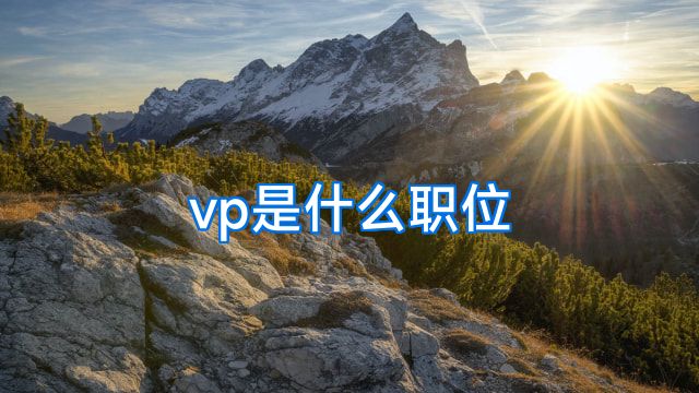vp是什么职位