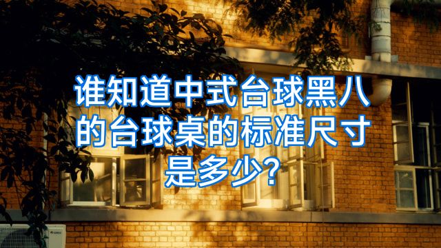谁知道中式台球黑八的台球桌的标准尺寸是多少?