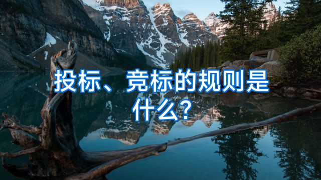 投标、竞标的规则是什么?
