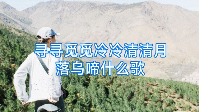 寻寻觅觅冷冷清清月落乌啼什么歌
