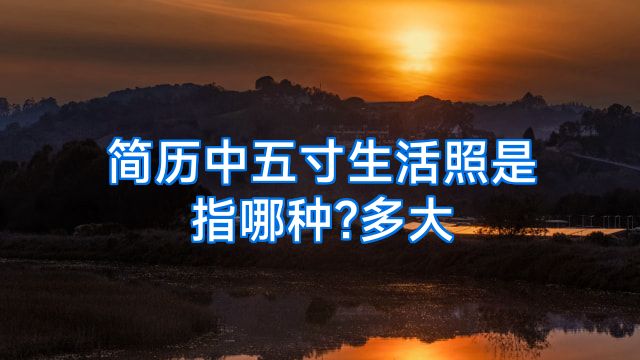 简历中五寸生活照是指哪种?多大