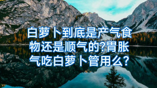 白萝卜到底是产气食物还是顺气的?胃胀气吃白萝卜管用么?